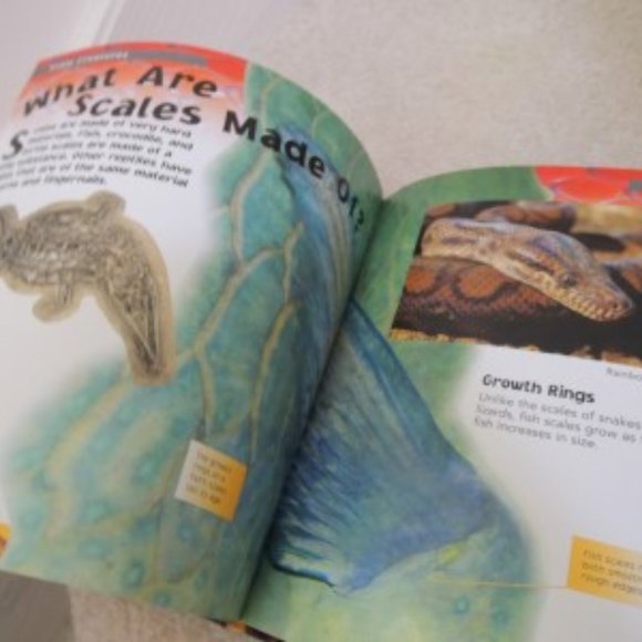 Scaly Creatures - Animal Touch Hardcover Book July 25, 2005 - NEW - Picture 3 of 6